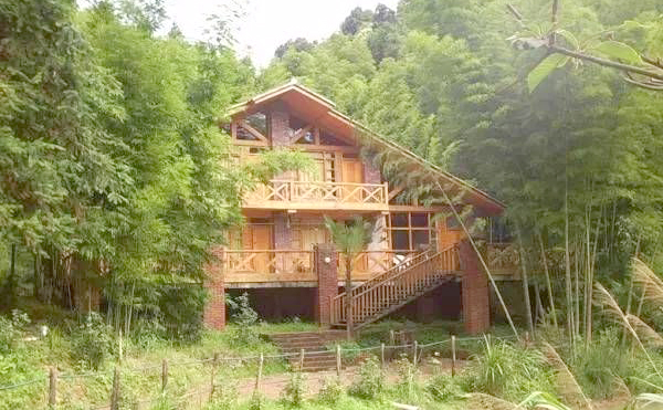 鄭州美博會分享美景地2：森林公園